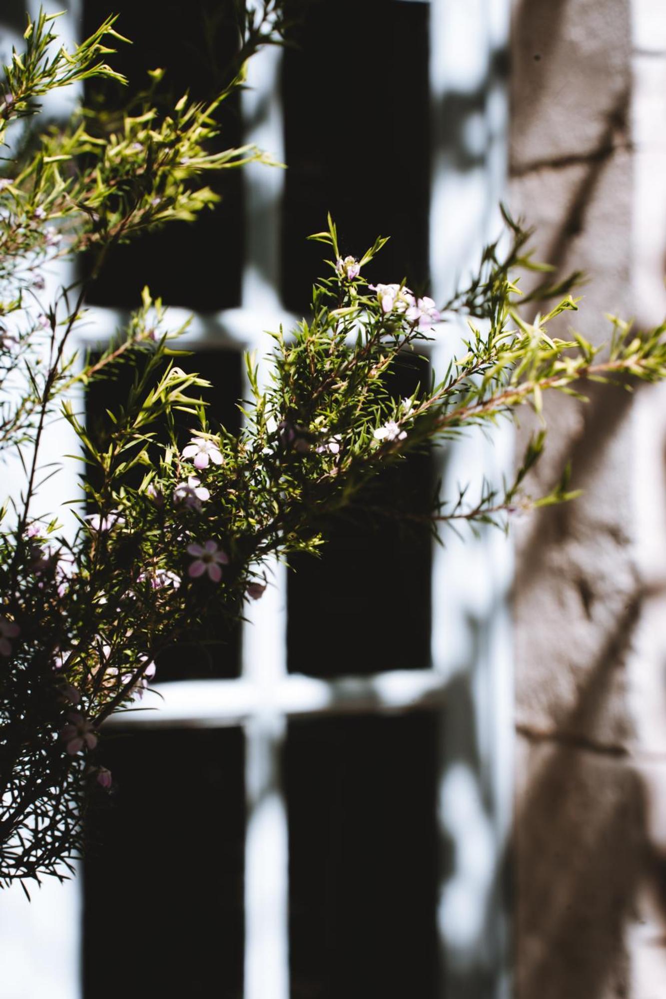Bastide Rose Hotel Le Thor Bagian luar foto
